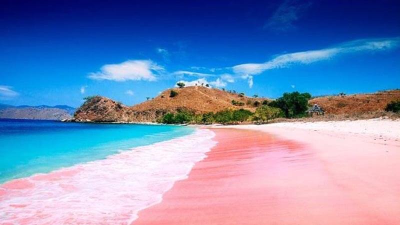 Paket Tour Lombok Post (6)